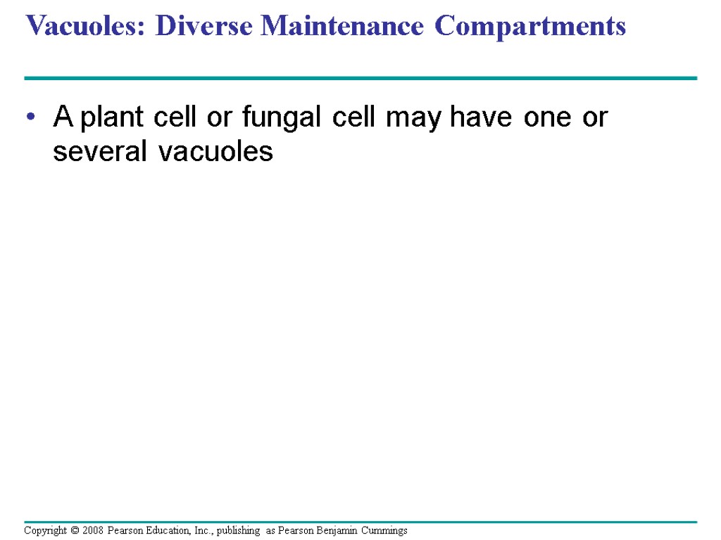 Vacuoles: Diverse Maintenance Compartments A plant cell or fungal cell may have one or
